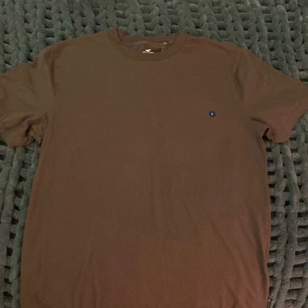 NWT Mens Hollister tee